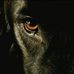 Karla Kirsch - Facebook