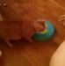 Carla Klicker - Facebook