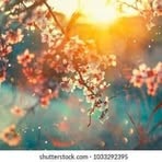 Carla Knight - Facebook