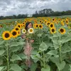 carlakobilinski - @carlakobilinski - TikTok