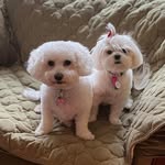 Carla E Krueger - @fashionforme2 - Instagram