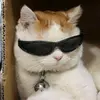 una_personita_❤️🩹 - @._carla_kun_ - TikTok