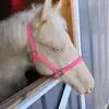 carla kyle - @carlakyle8 - TikTok