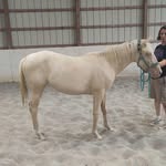 Carla Nicole Kyle - @cnk_rescue - Instagram
