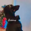 carlalamb22 - @carlalamb22 - TikTok