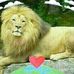 Carla Lanier - Facebook