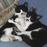 Carla Lapierre - @gateway_gallery_and_gifts - Instagram