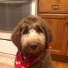 carlalawrence313 - @carlalawrence313 - TikTok
