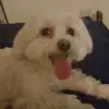 carlaleake4 - @carlaleake4 - TikTok