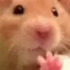 carla_lem - @carla_lem0 - TikTok