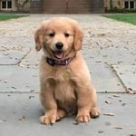 Carla libby - @carlalibby78 - Instagram