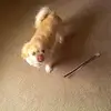Carla Light - @carla.light1 - TikTok