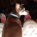 Carla Light - Facebook