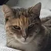lightofcarla - @lightofcarla - TikTok