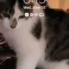 carlalott43 - @carlalott43 - TikTok