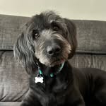 Carla McGee - @tubbysgrl6376 - Instagram