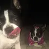 carlamerrell2 - @carlamerrell2 - TikTok