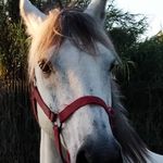 Carla Sicart - @carla_sicart_mickey - Instagram