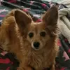 CarlaMiranda - @carlamiranda91 - TikTok