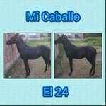 Carla Ivon Montejo Champo - @montejochampo - Instagram