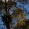 Carla Moreira - @carla_moreira89 - TikTok