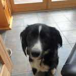 Carla Obrien - @carlaobrien2709 - Instagram