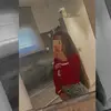 Carla - @carla_pace - TikTok