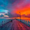 carlo_plucks - @carlo_plucks - TikTok
