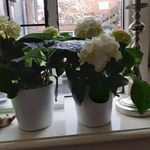 Carla Post - @carla.post.50 - Instagram