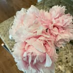 Carla Reece - @reece.homedesigns - Instagram
