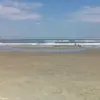 Carla Renner - @carlarenner1 - TikTok