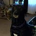 Carla Ringer - Facebook