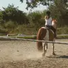 Carla Robles - @videoscaballos - TikTok