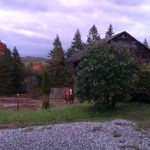 Carla Rodgers (South Stream Stables) - @carlarodgerssouth - Instagram