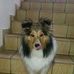 Carla Scheer - Facebook