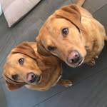 Carla Sheldon - @carlasheldon2 - Instagram