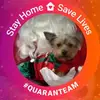 Carla Shipman115 - @carlashipman - TikTok
