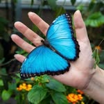 Kharyl Ann - @carlasikes16 - Instagram