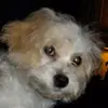 Carla - @carlastanley7 - TikTok