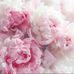 Carla Stanton - Facebook