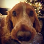 Carla Steele - Facebook