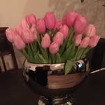 Carla Steger - @stegercarla - Instagram