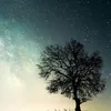 Stein_Carla08 - @stein_carla - TikTok
