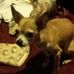 Carla Stenstrom - Facebook