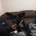Carla Stenstrom - Facebook