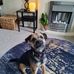 Carla Jane Purves - Facebook