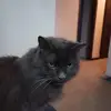 Carla Stone - @carla.stone1 - TikTok