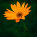 Carla Sutter - Facebook