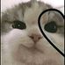 Carla Vera - Facebook