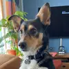 Carla - @carla_visser - TikTok